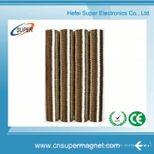 China Rare Earth Permanent Disc Magnet